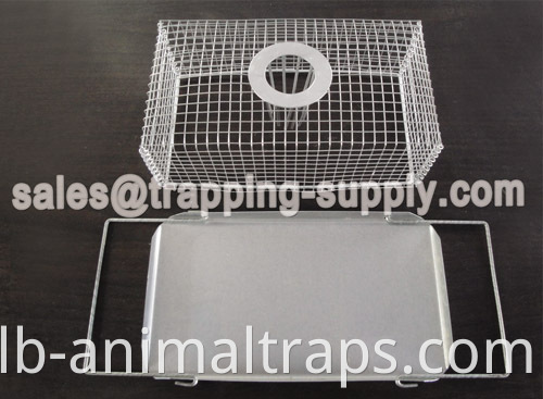 Humane Top-entry Mouse Trap Cage